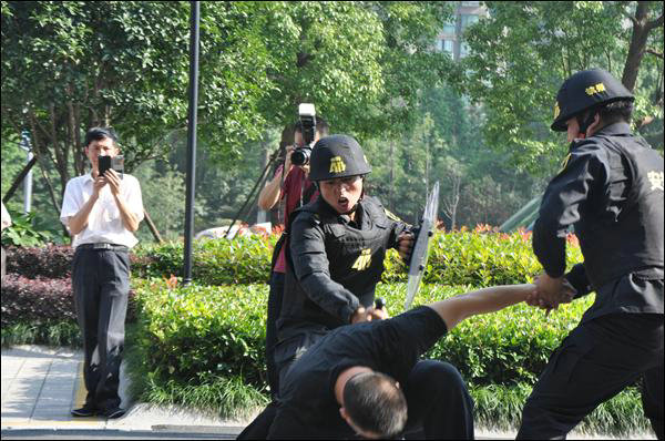 点击新窗口查看原始图片